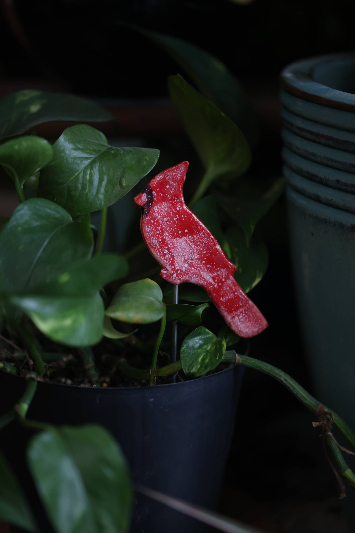 Plant Buddies - Cardinal | Bird