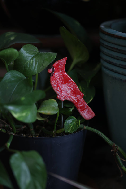 Plant Buddies - Cardinal | Bird