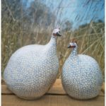 Guinea Fowl White Spotted with Lavender Blue
