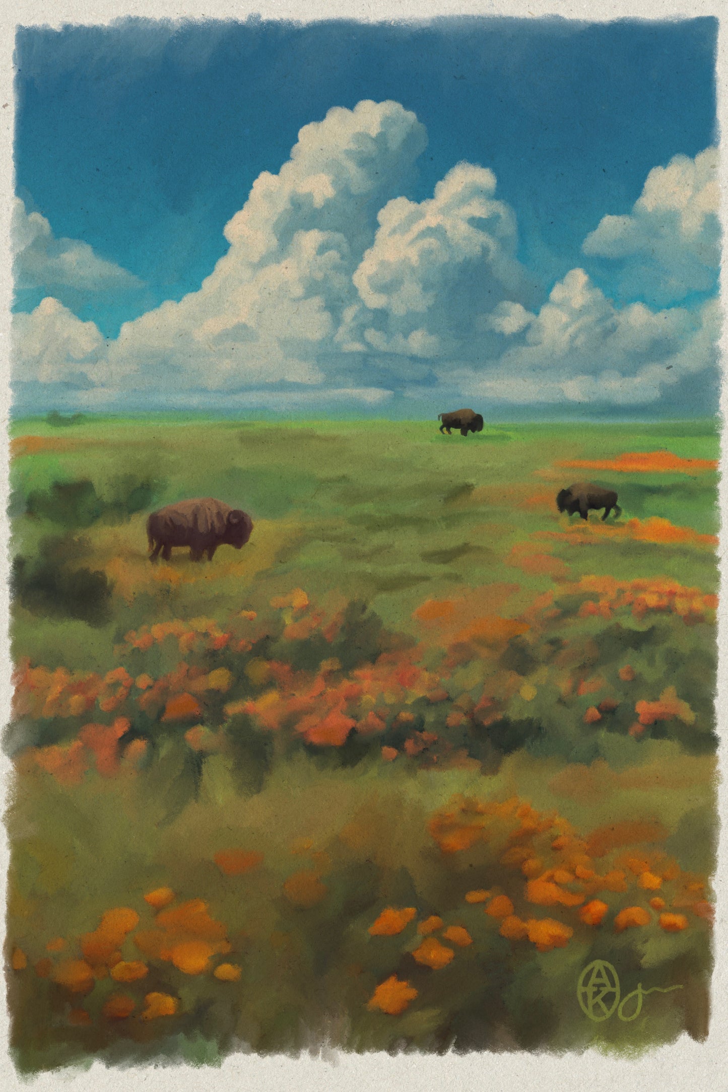 Sooner Sky Buffalo