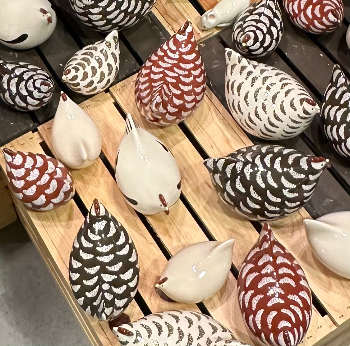 Chicken with Feathers