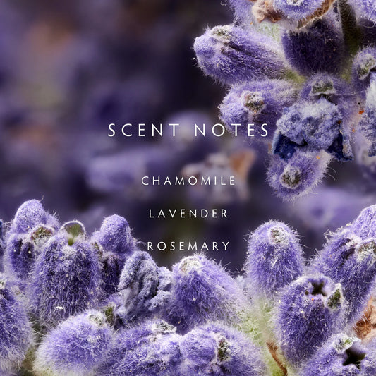 Lavendar Rosemary Reed Diffuser