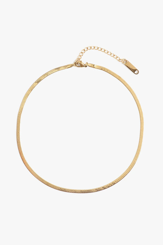 Ramsey Choker - Gold