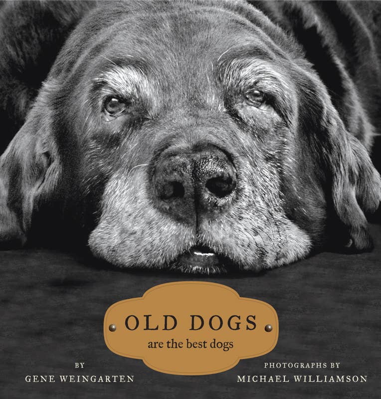 Old Dogs by: Hardcover; 160 pages / English