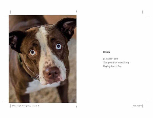 What I Lick Before Your Face by Jamie Coleman: Hardcover; 128 pages / English