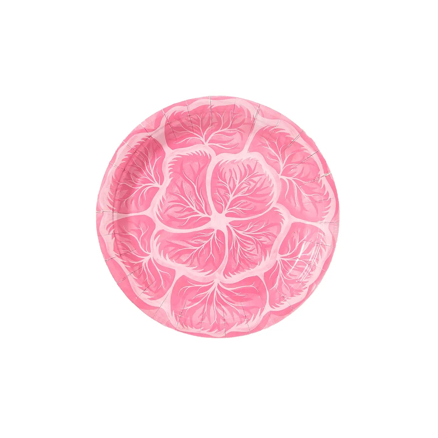 Melissa's Garden Cabbage Salad and Dessert Paper Plates Pack of 8
