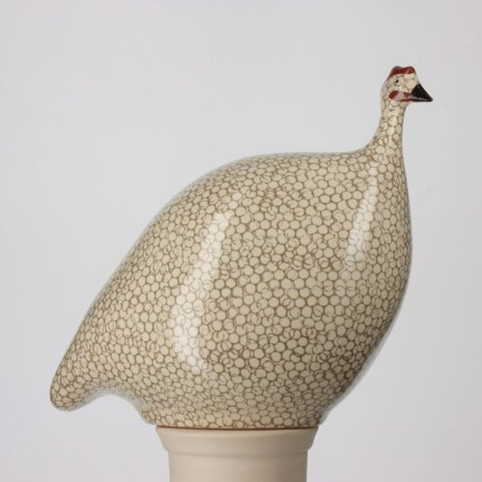 Guinea Fowl White with Grey Spots