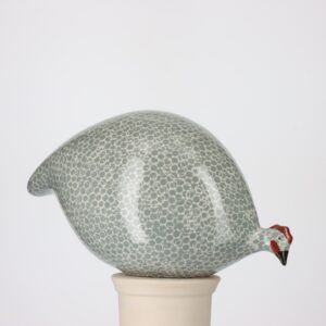 Polar Blue Spotted with White Guinea Fowl