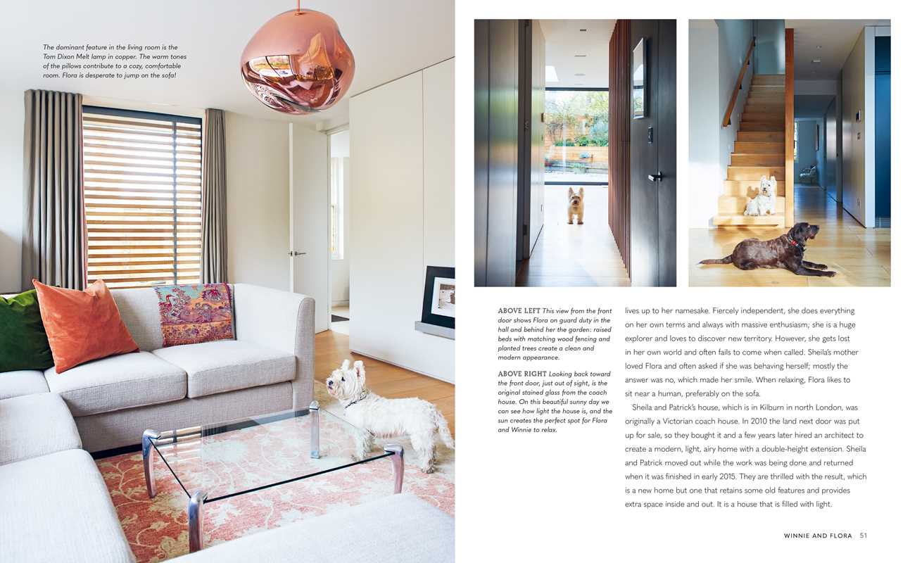 Cool Dogs, Cool Homes by Geraldine James: Hardcover; 176 pages / English