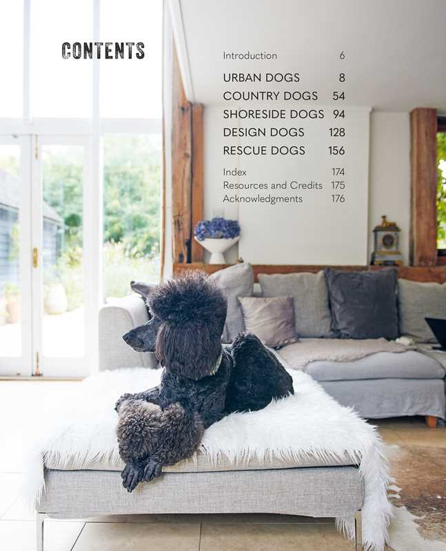 Cool Dogs, Cool Homes by Geraldine James: Hardcover; 176 pages / English