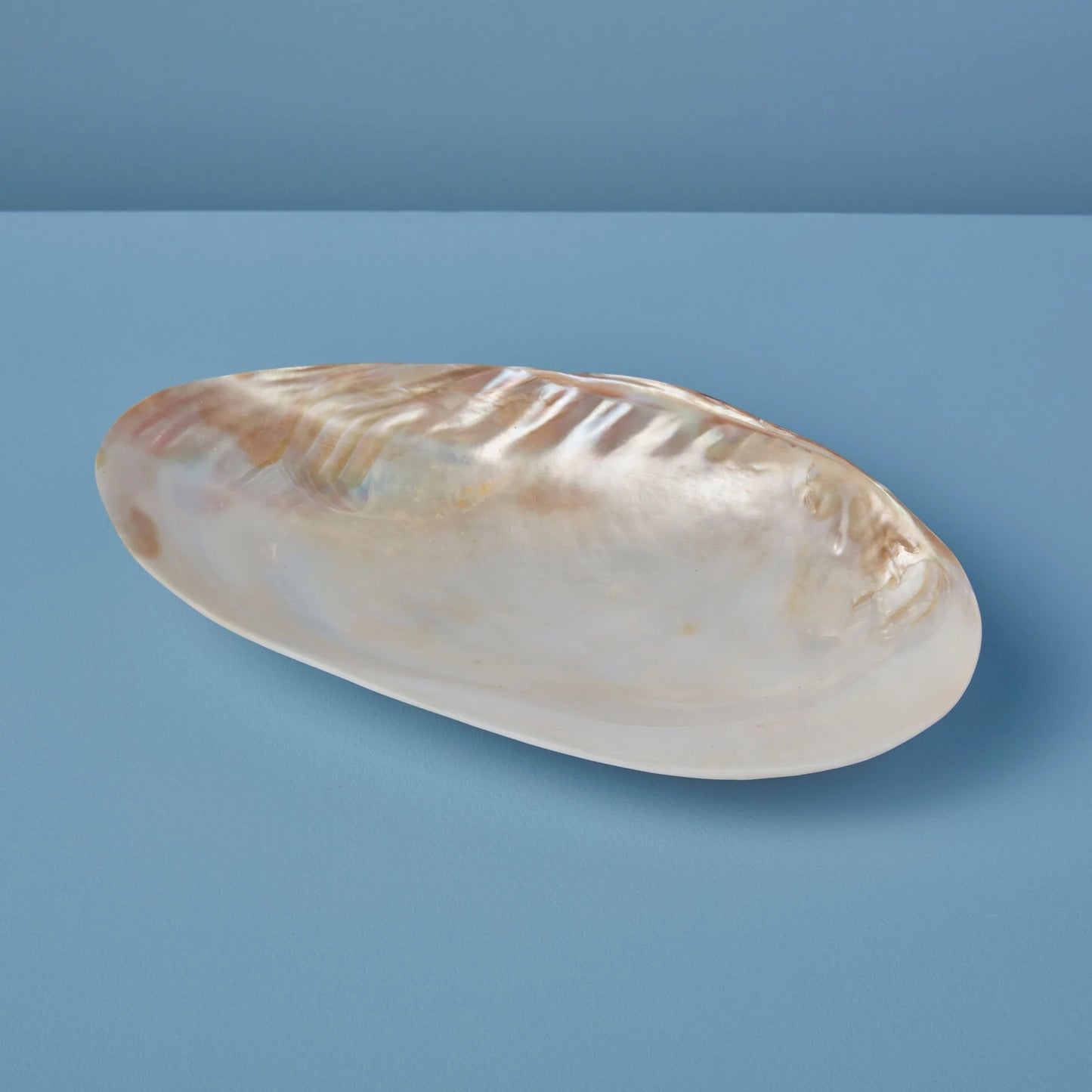 Seashell Footed Dish