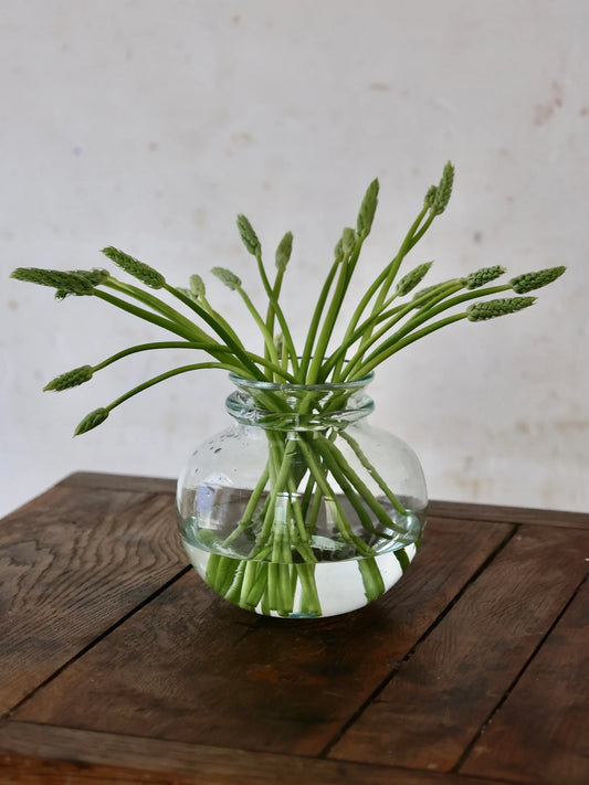 Crock Vase Transparent