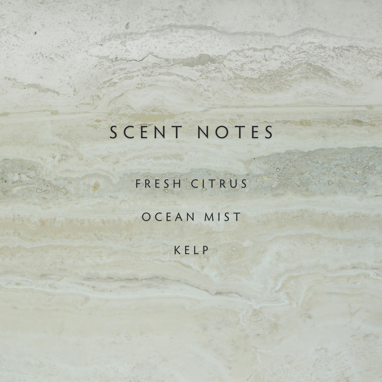 Sea Salt Reed Diffuser