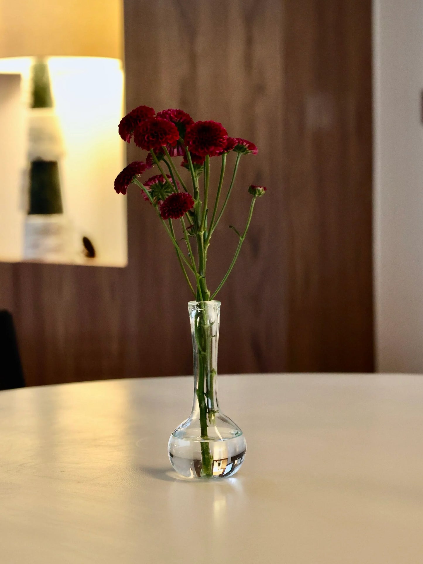 Sam Small Transparent Vase