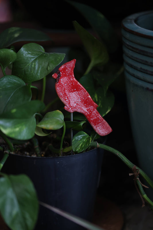 Plant Buddies - Cardinal | Bird