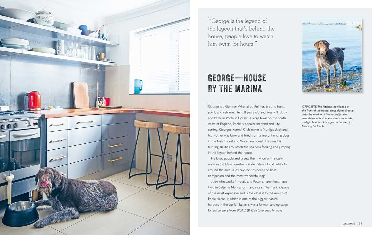 Cool Dogs, Cool Homes by Geraldine James: Hardcover; 176 pages / English