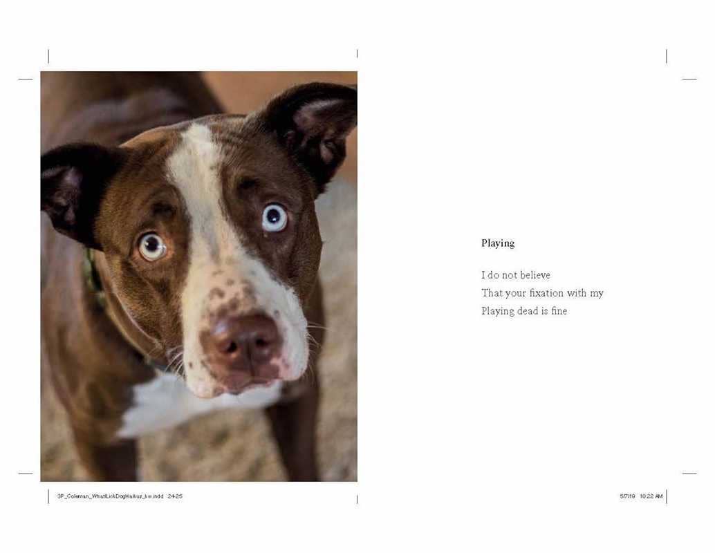 What I Lick Before Your Face by Jamie Coleman: Hardcover; 128 pages / English