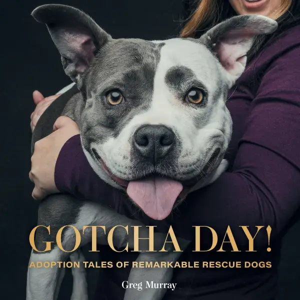 Gotcha Day Book