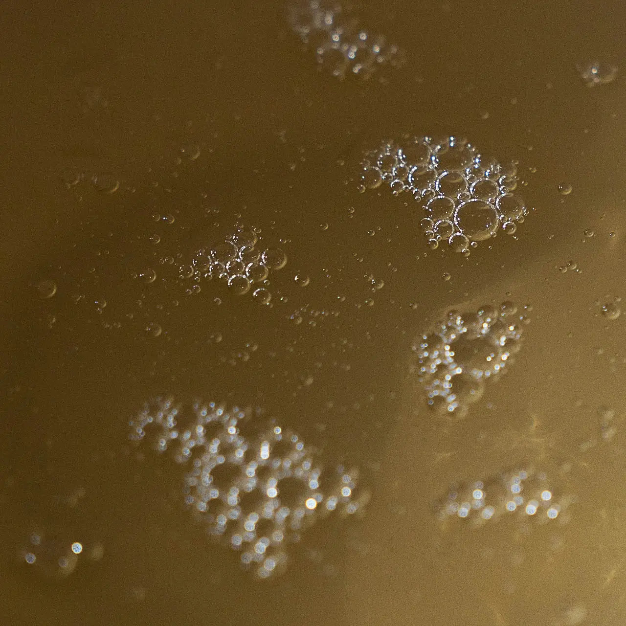 Eucalyptus Hand Soap